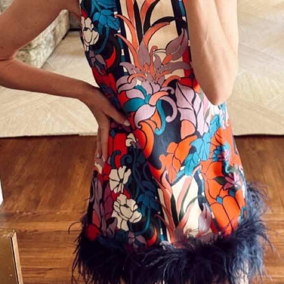 Tuckernuck Small NWOT Climbing Cosmos Sleeveless Mod Ellie Dress - Picture 6 of 8